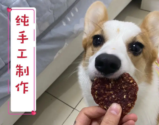 1711676617125824.png 宠物美容培训