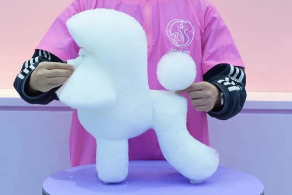 重庆宠物美容培训帮助您做出明智的选择